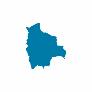 Bolivya Vizesi